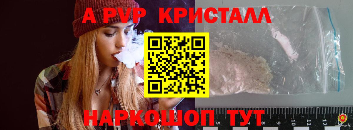 APVP СК Курчалой