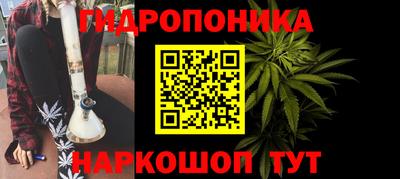 ГАЛЛЮЦИНОГЕННЫЕ ГРИБЫ Славгород