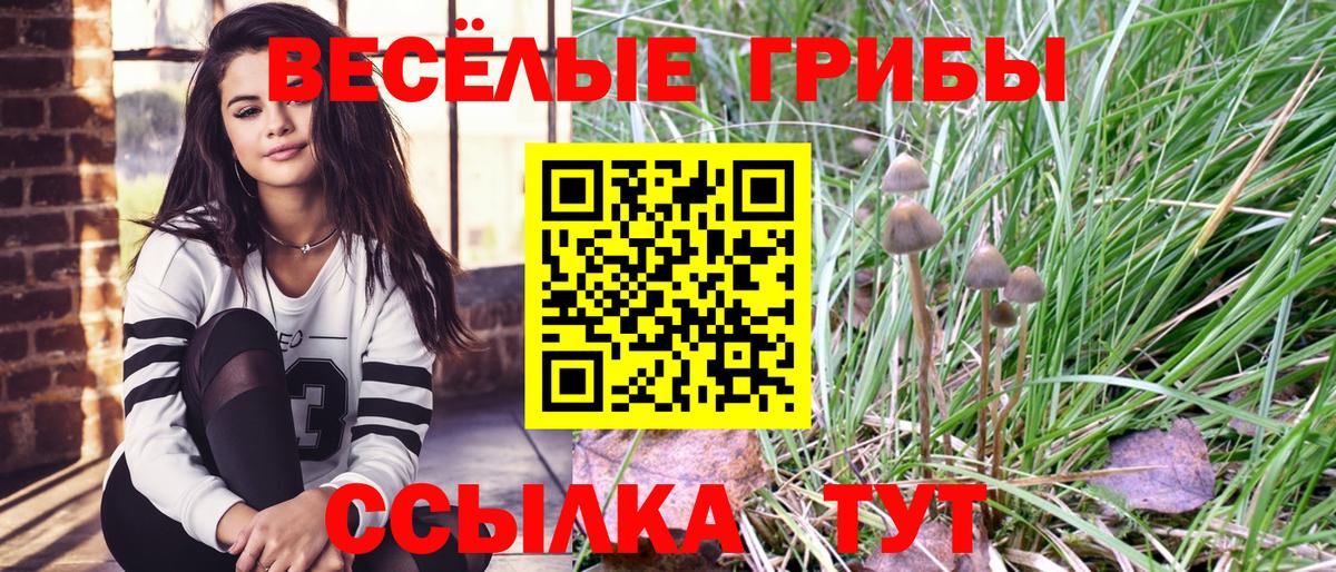 Галлюциногенные грибы прущие грибы Курчалой