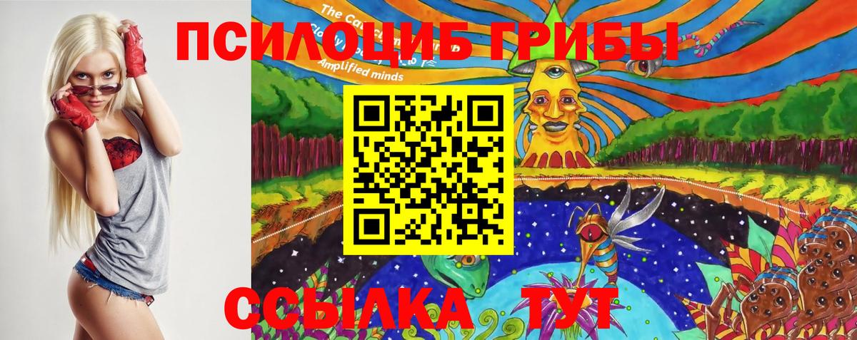 Псилоцибиновые грибы Psilocybine cubensis  Вход с VPN  Курчалой  Галлюциногенные грибы мухоморы 